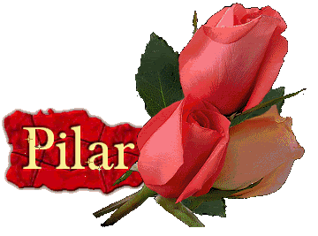 Pilar-27.gif