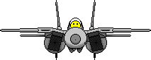 piloto.gif