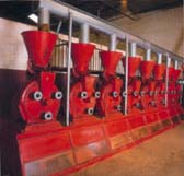 pimenton9.jpg