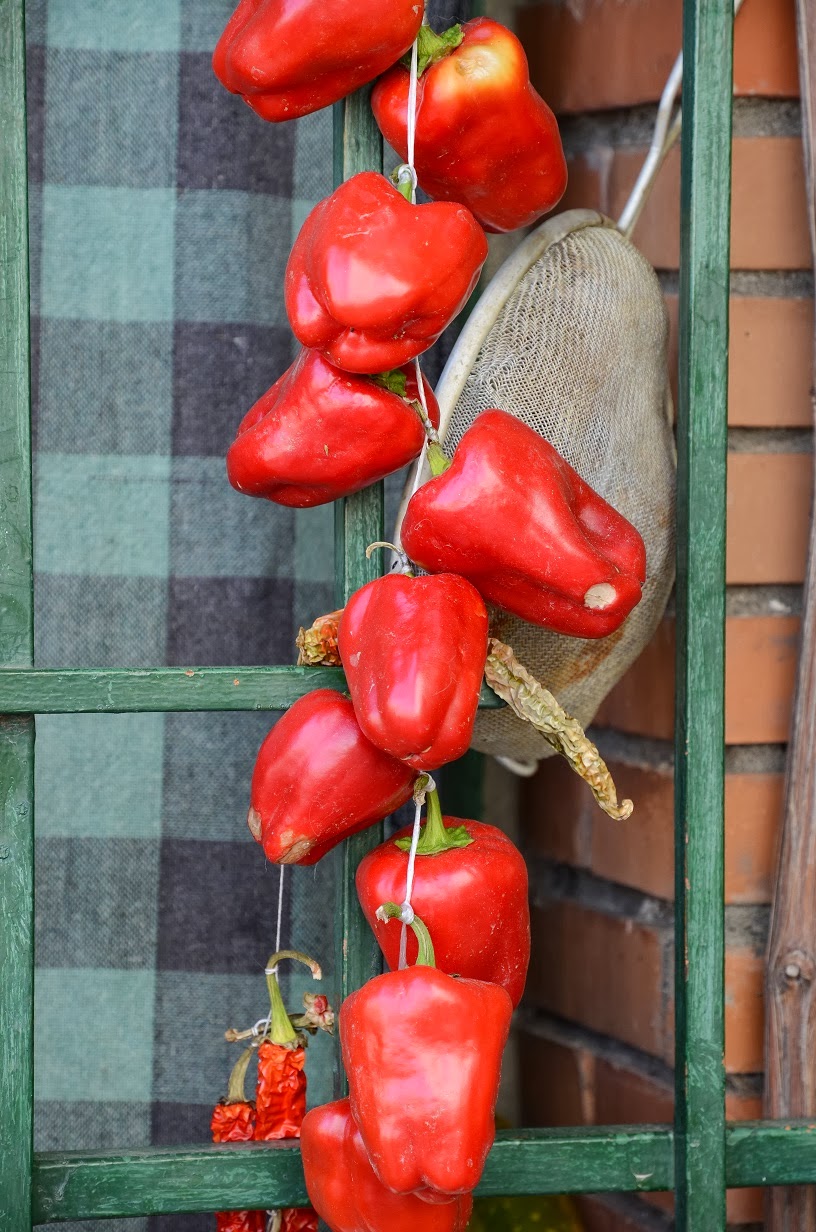 pimiento+5.JPG