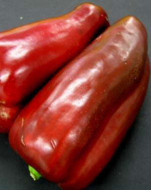 Pimiento_morron.jpg