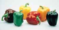 pimientos_colores.jpg
