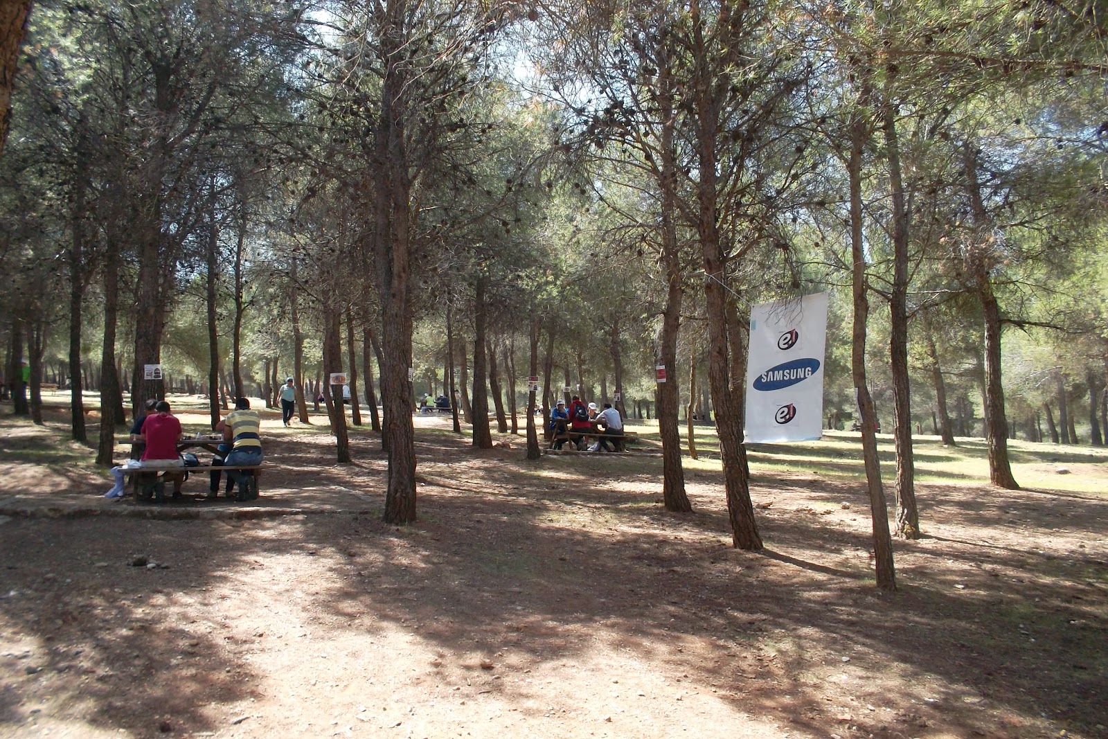 Pinares%2BCopa%2BG%2BB.JPG
