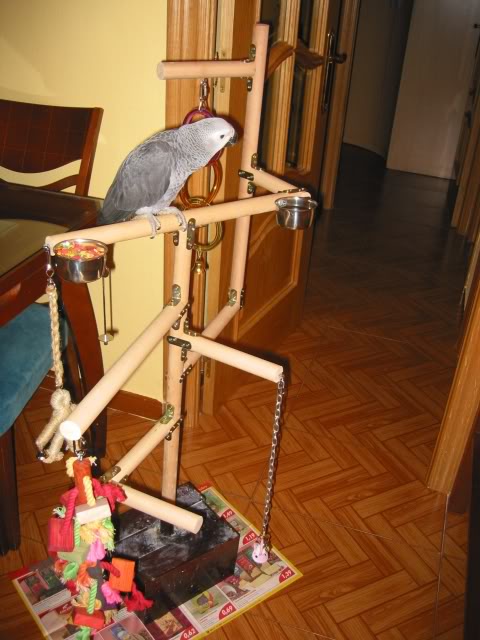 PIPOYSUNUEVOPARQUE10.jpg
