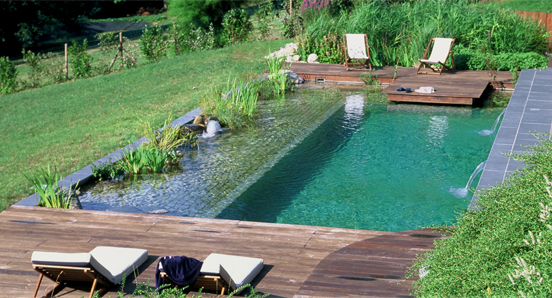 piscina-ecologica43.jpg