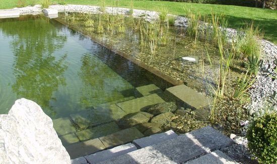 piscina-naturales.jpg