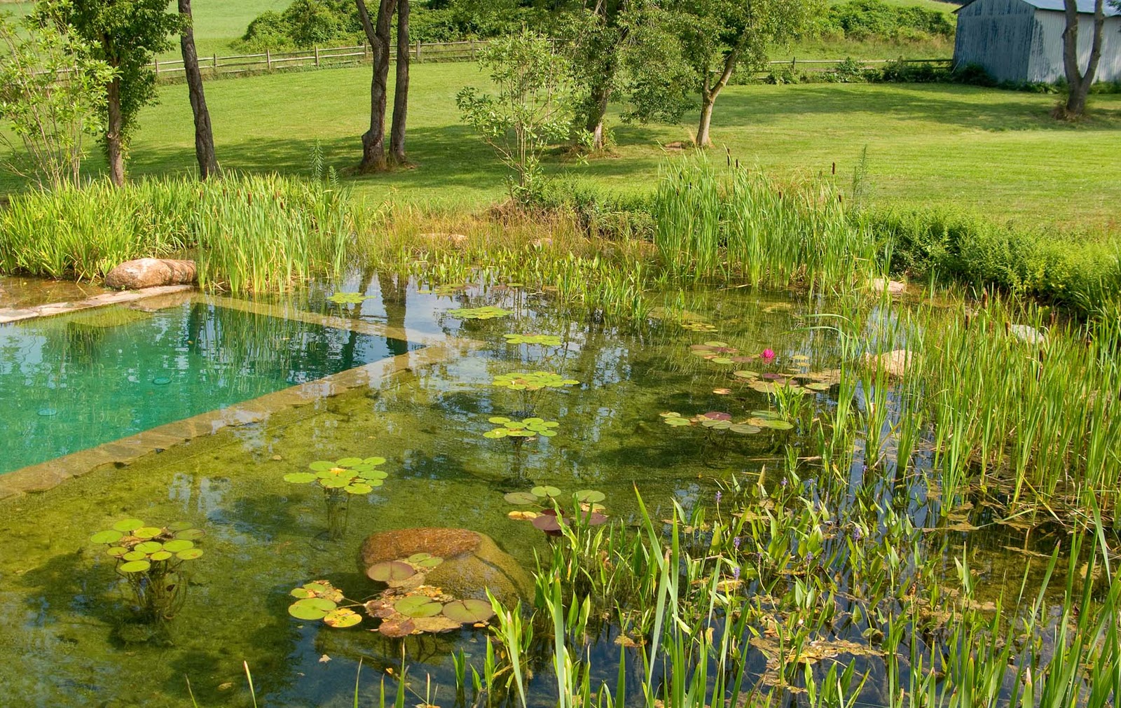 PISCINA+NATURALIZADA.jpg