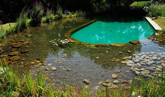 Piscina-Naturalizada.png