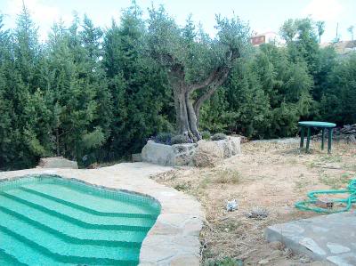 Piscina_0livo.jpg