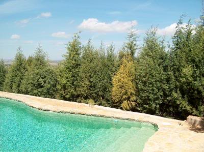 Piscina_Arizonicas.jpg