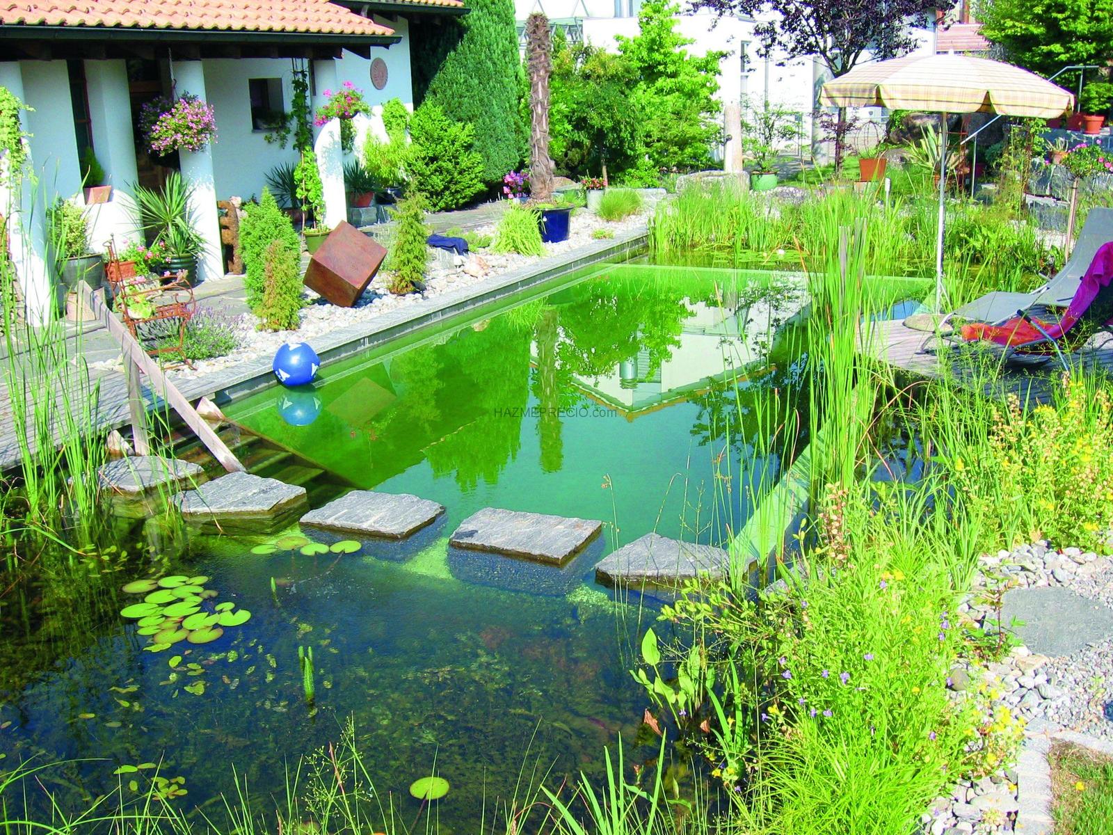 Piscinas_ecologicas-11.jpg
