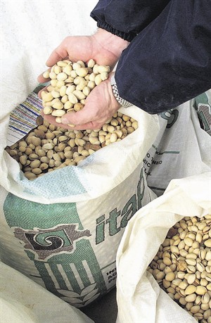 pista_2_300x459.jpg