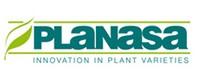 planasa200.jpg