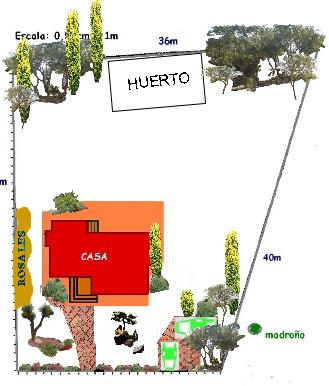 plano%20crisy%7E0.JPG