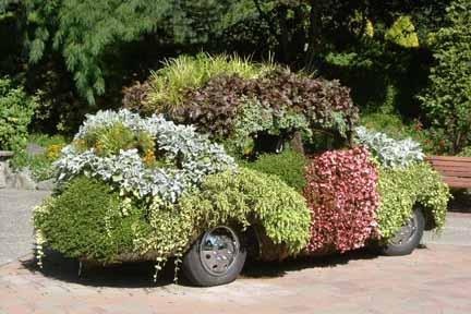 plant-car-bug.jpg