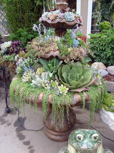 Plant.Fountain.jpg