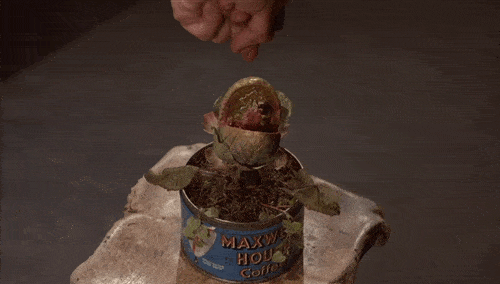 planta-carnivora.gif