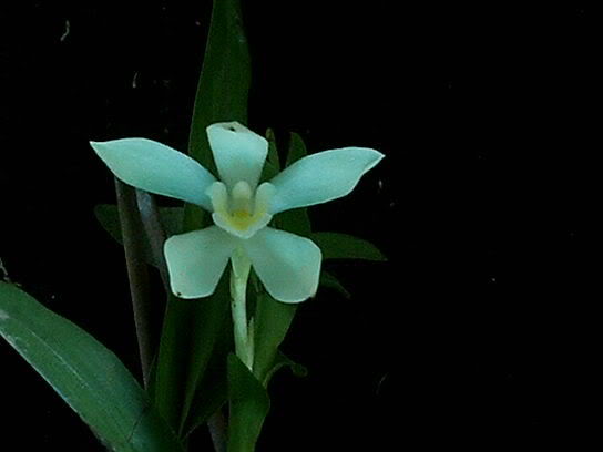 Planta4_04.jpg