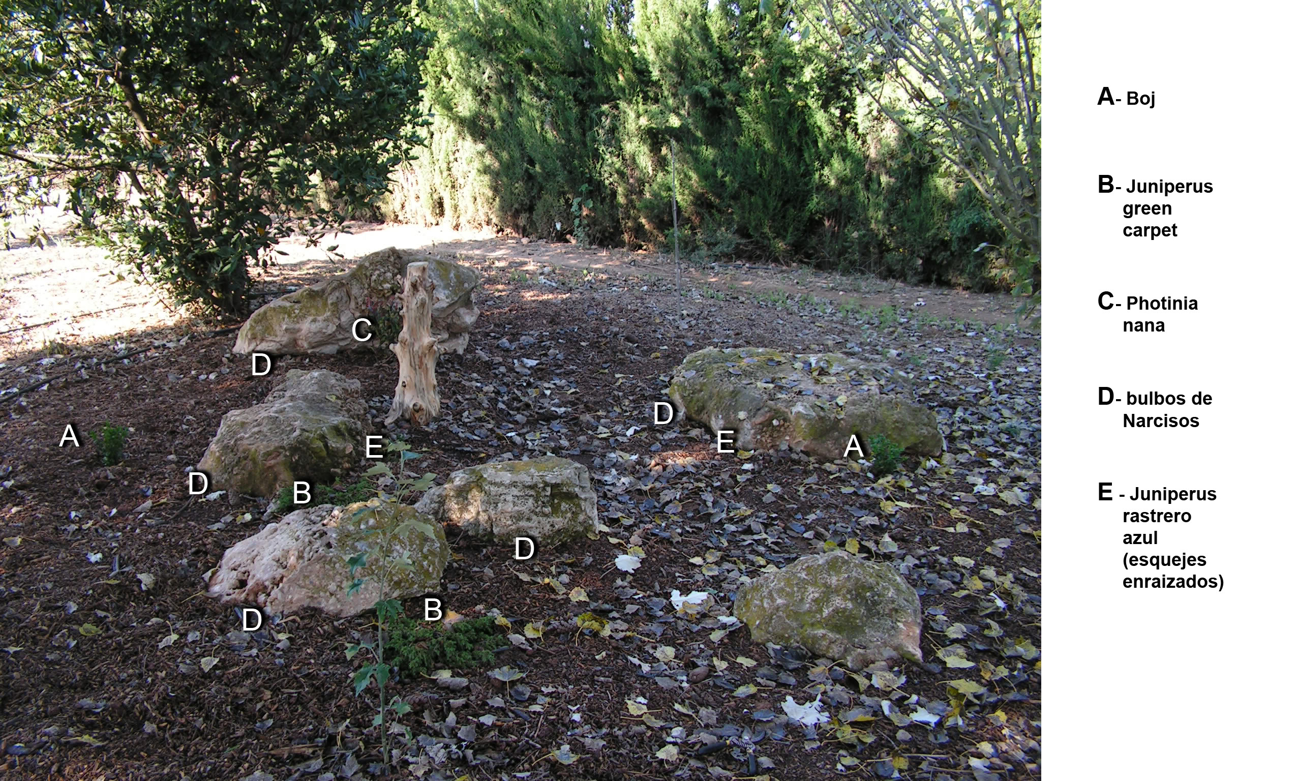 plantacinalameda2.jpg