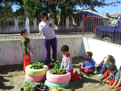 PLANTANDO+UMA+MUDA+045.jpg