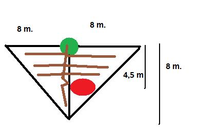 plantar_carabassa_gegant.jpg