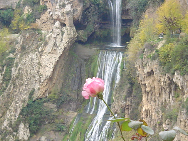 plantas%20159.jpg