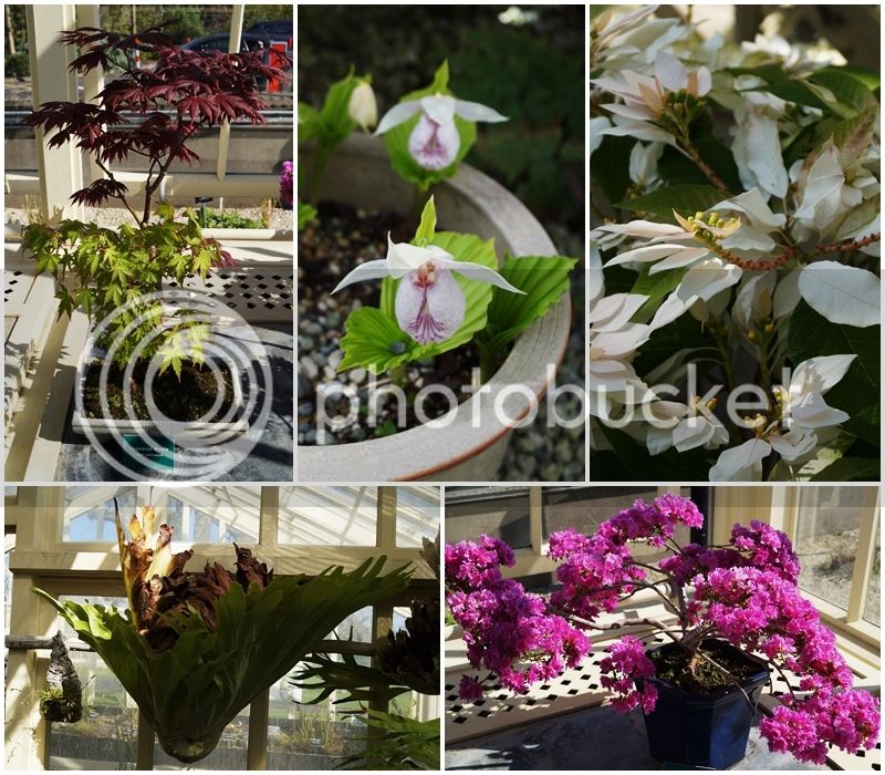 Plantas%201_zpsrvqxehfw.jpg