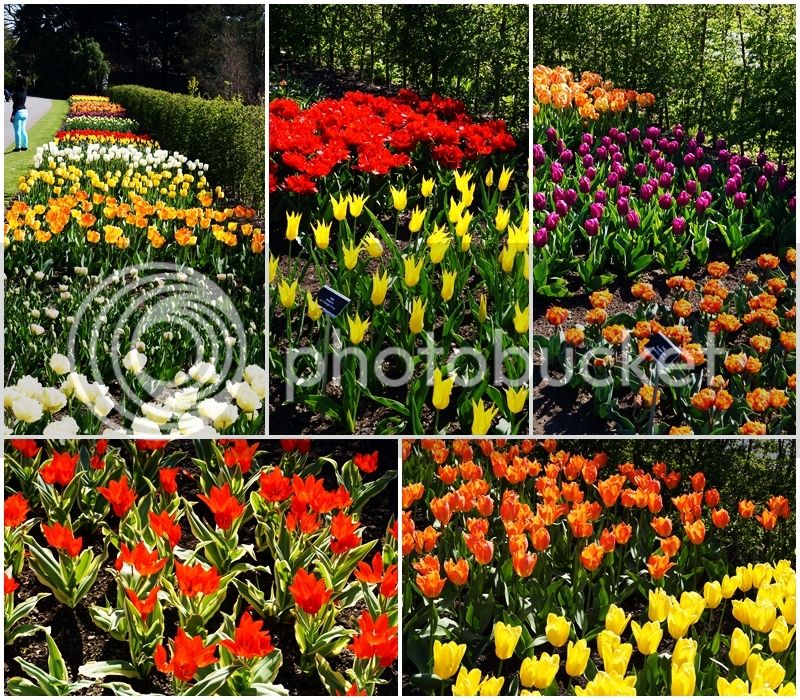 Plantas%202_zpsqqflbqk7.jpg