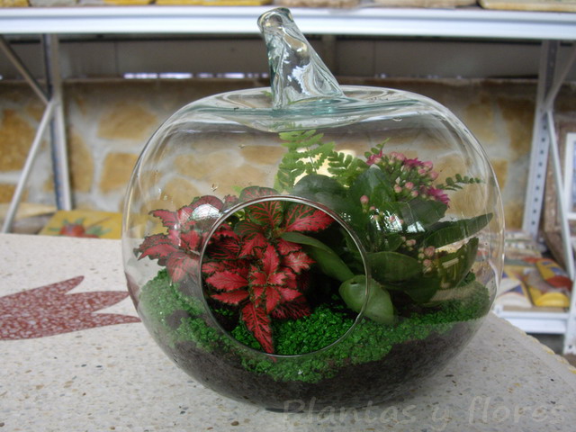 Plantas%2By%2Bflores.jpg