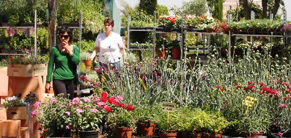 plantas-en-valencia.jpg