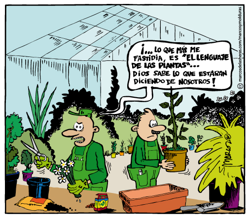 plantas.jpg