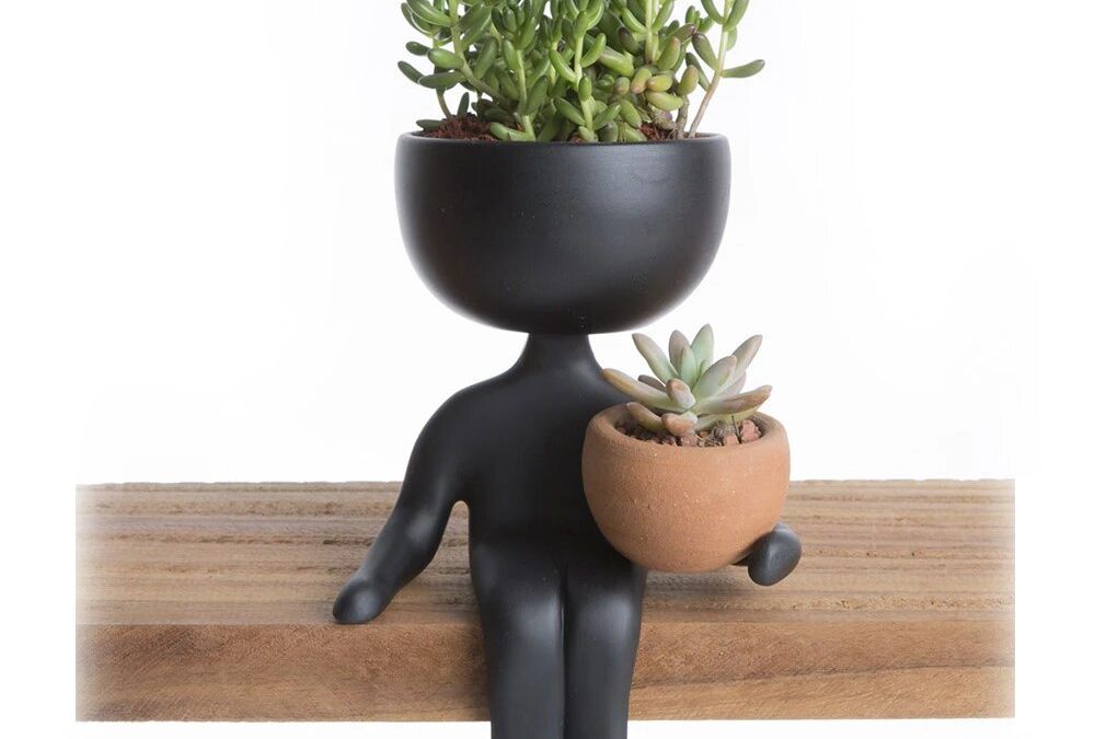 Plantas01-esp-1000x675.jpg