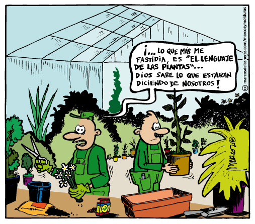 plantas1.jpg