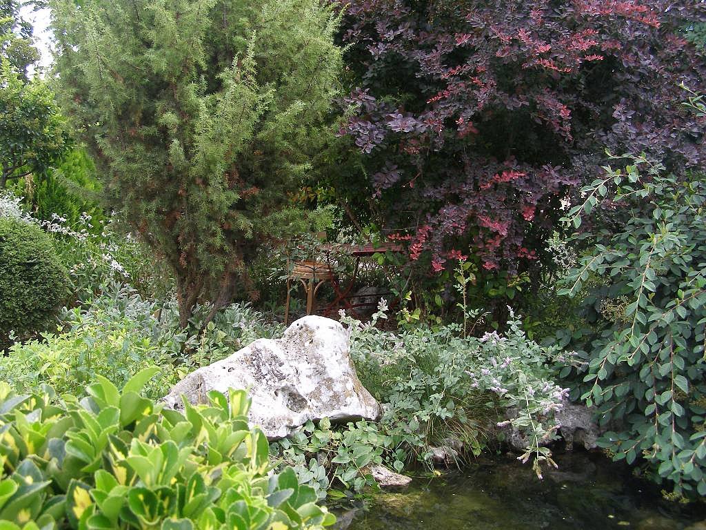 plantas_y_jardin_y_paisajismo_y_flores.jpg