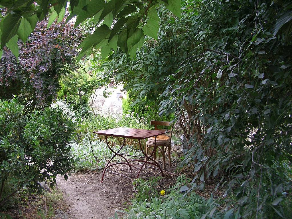 plantas_y_jardin_y_paisajismo_y_flores.jpg