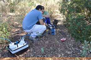 plantasW.jpg