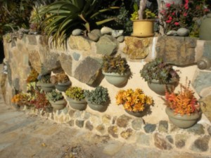 Planted-Wall-300x225.jpg