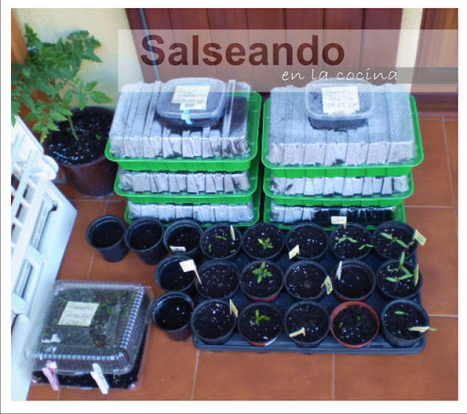 planter02.jpg