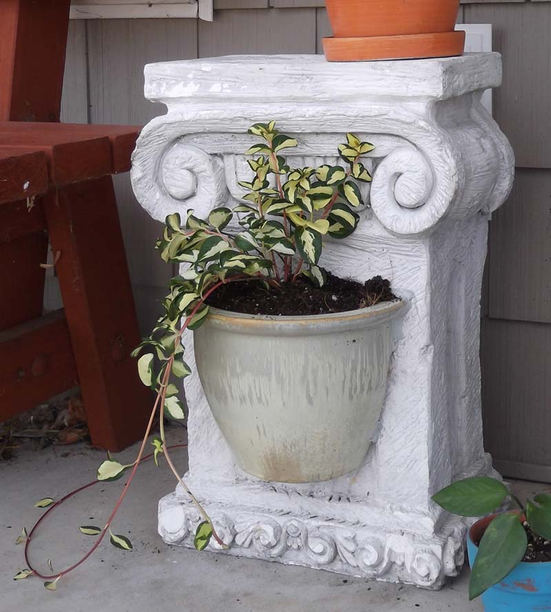 planters.jpg