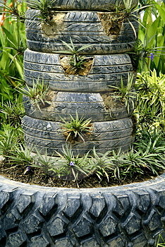 Plantes-en-pneus-recycles.jpg