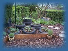 planting-in-tyres.jpg
