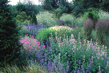 planting1.jpg
