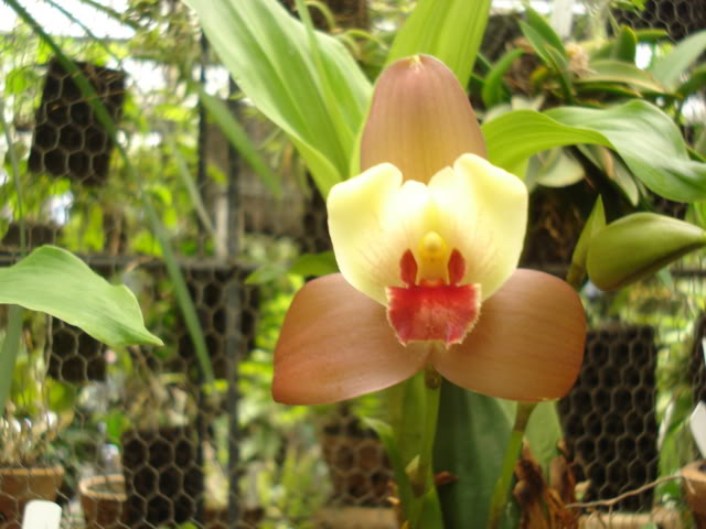 plantitas018.jpg