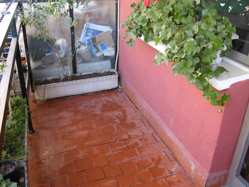 plas5.jpg