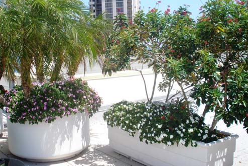 Plastic+Garden+Planter+Seacrest-Round-Rect-GC.jpg