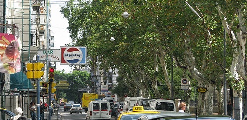 PLATANOS-SIN-PODAR-EN-ROSARIO.jpg