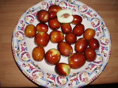 plato con jinjoles.JPG