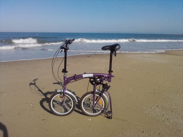 playa%2Bbici.jpg