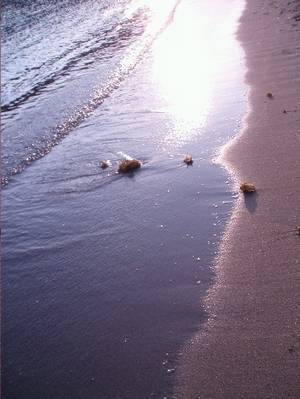 playa_a_la_puesta_del_sol.JPG