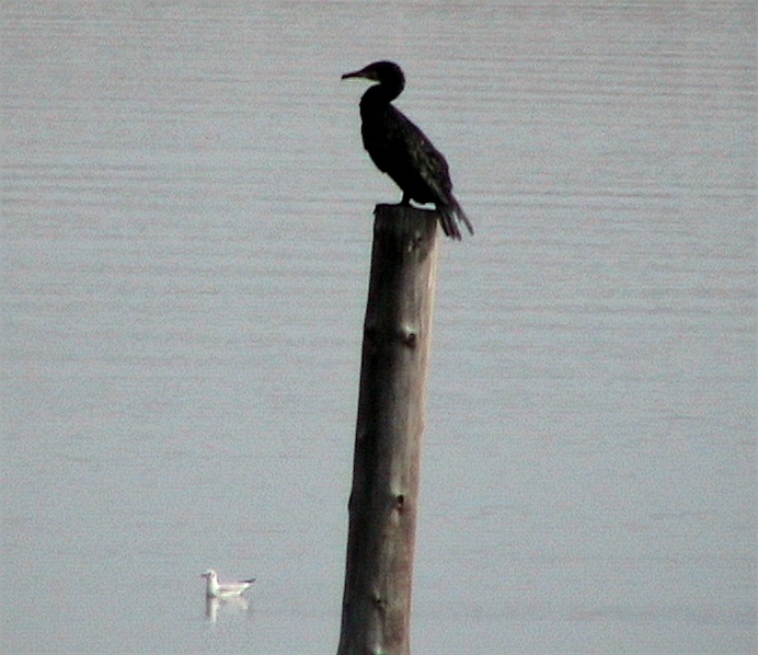 Playaundi0024.JPG